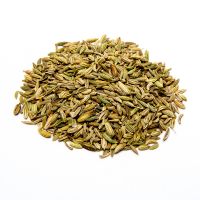 Fennel Seeds